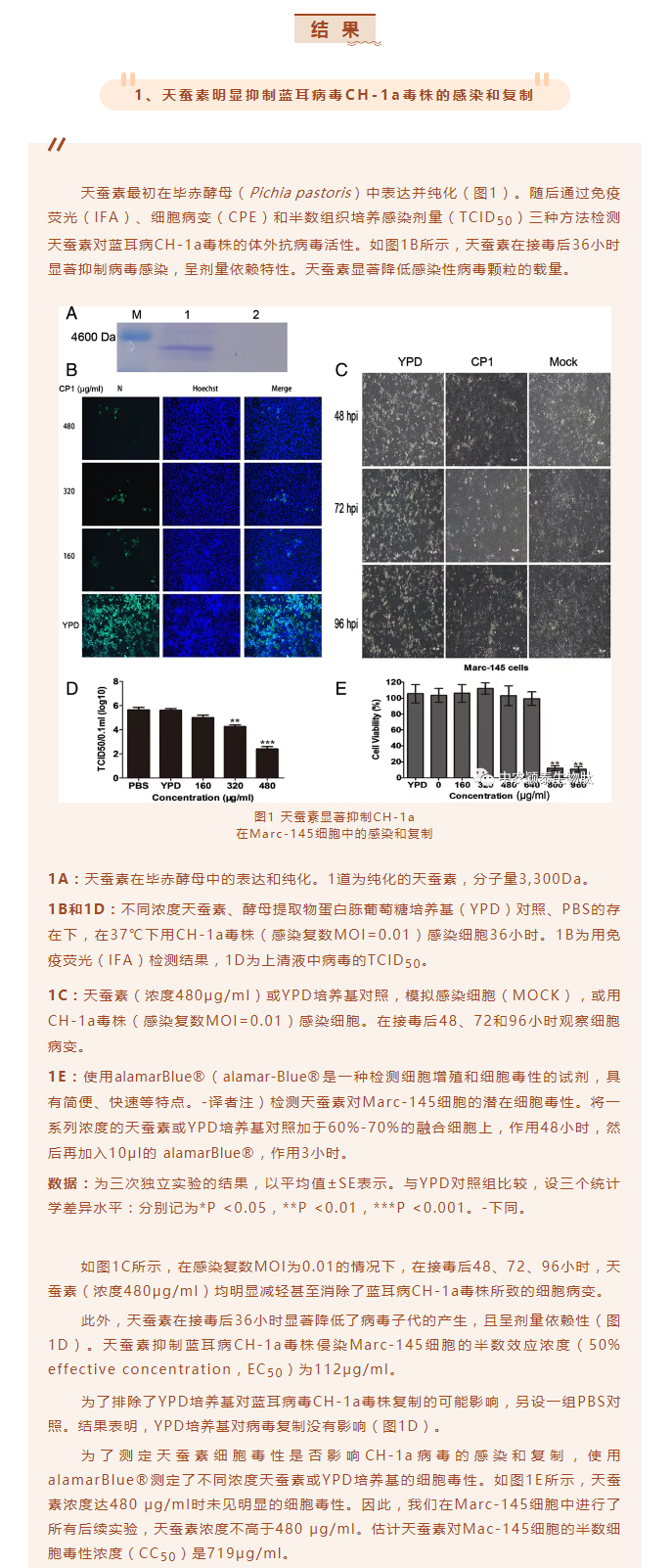 天蠶素抗菌肽抑制豬藍(lán)耳病毒的研究_02