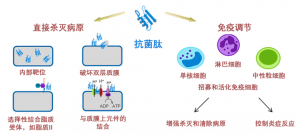 泰倍健——新型免疫增強(qiáng)劑，構(gòu)建核心抗病力